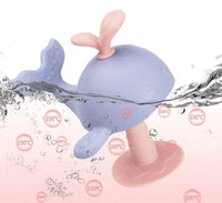 Baby Teething Toy